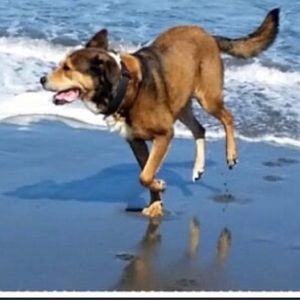 Meet your Posher, Bryce